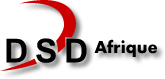 www.dsdafrique.com logo